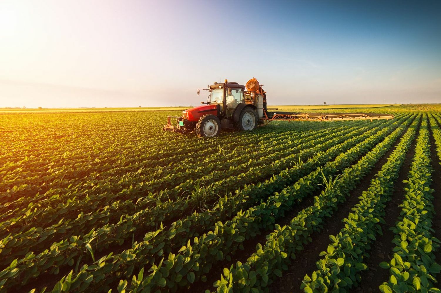 Agricultural Economics – Agribusiness Emphasis, B.S.